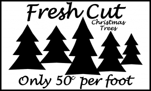 Free Fresh Cut Trees SVG File